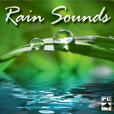 Rain on the Window By Rain Sounds's cover