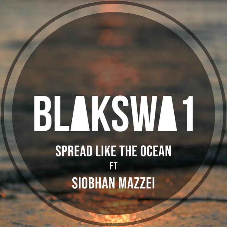 BLAKSWA1's avatar image