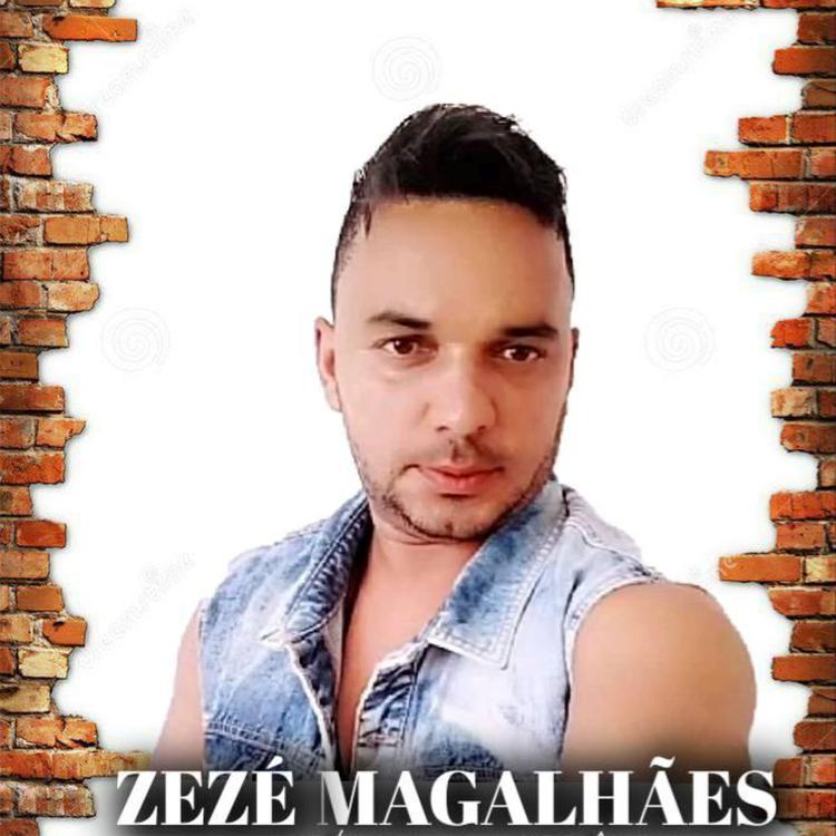 Zezé Magalhães's avatar image