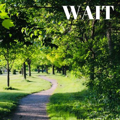 Wait By The M.A.S. Project's cover