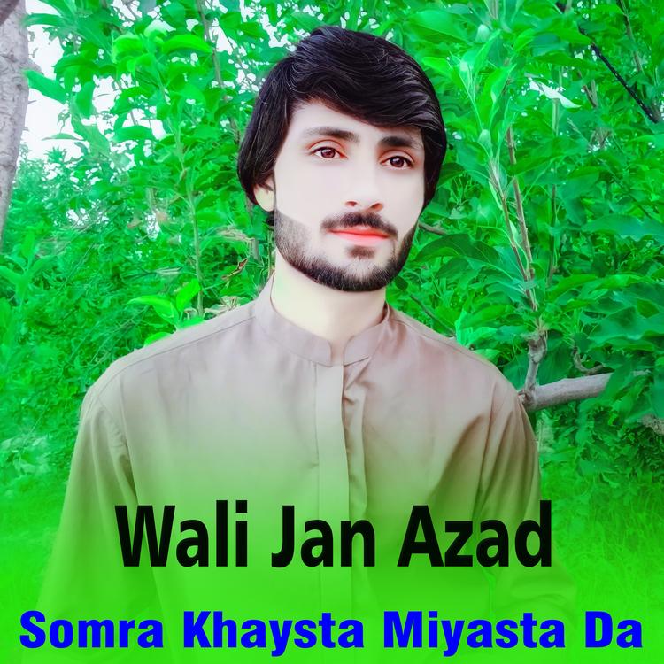 Wali Jan Azad's avatar image