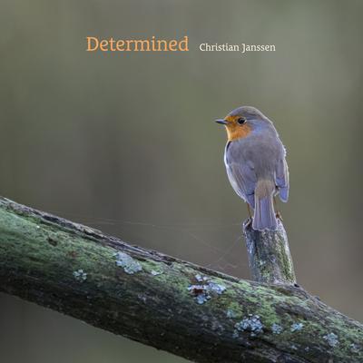 Determined By Christian Janssen's cover