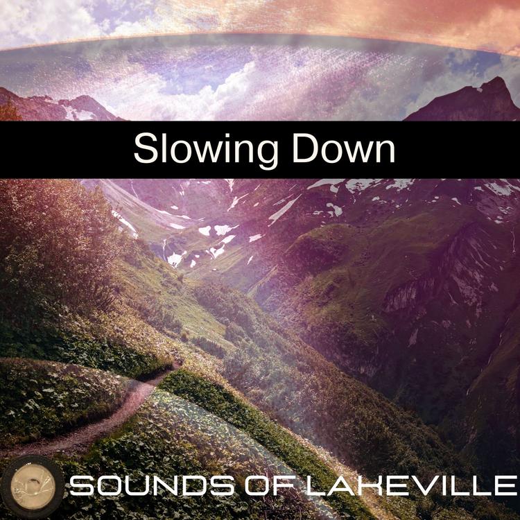 Sounds of Lakeville's avatar image