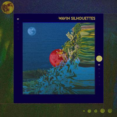 Skankin Shoes By Wavin Silhouettes's cover
