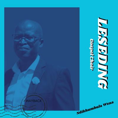 NDIKHOKHELE's cover