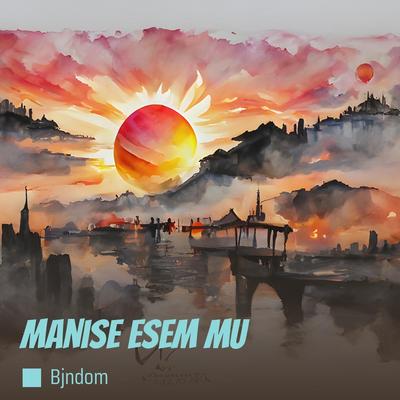 manise esem mu (Acoustic)'s cover