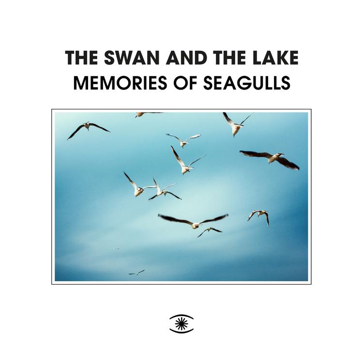 The Swan and The Lake's avatar image