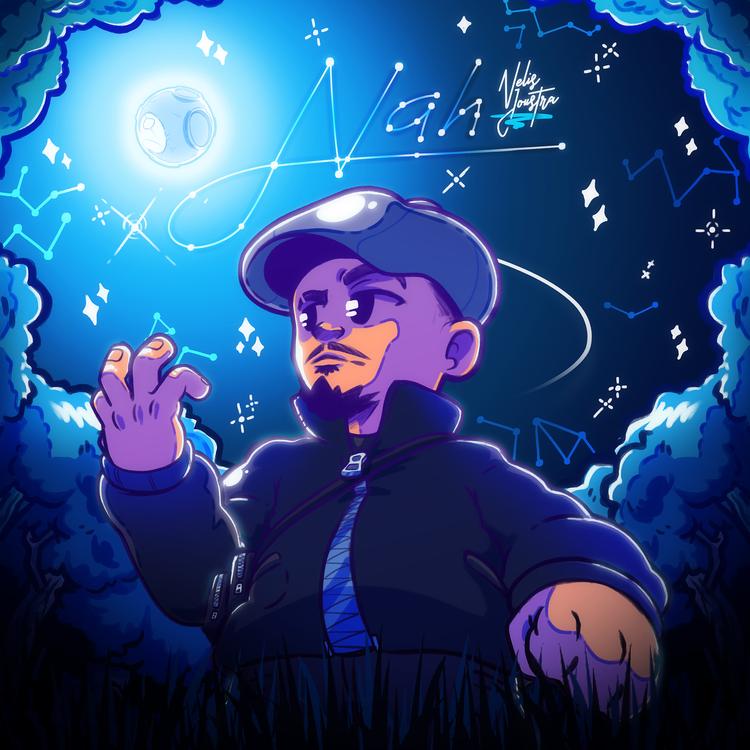 Nelis Joustra's avatar image
