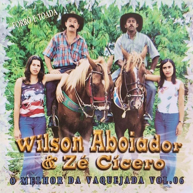Wilson Aboiador's avatar image