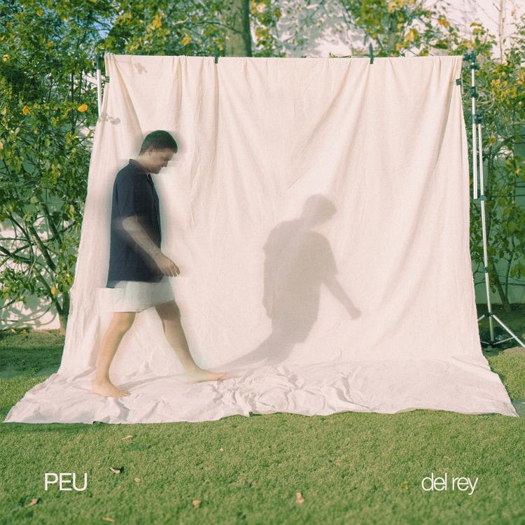 PEU's avatar image