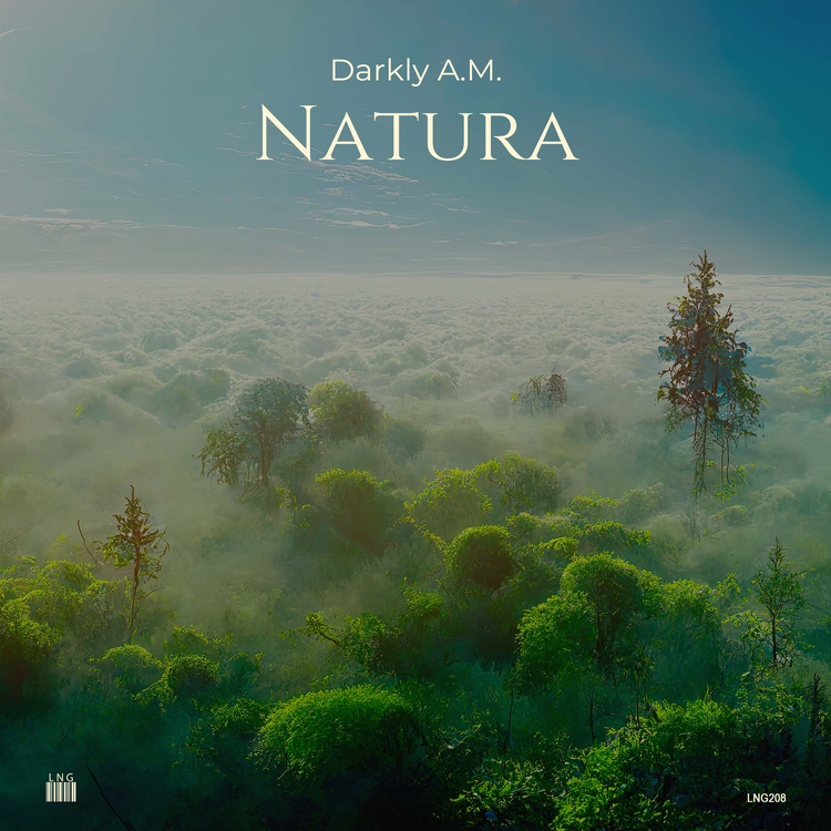 Darkly A.M.'s avatar image