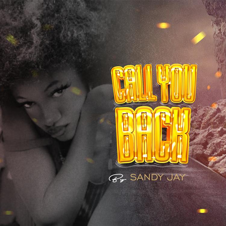 Sandyjay's avatar image