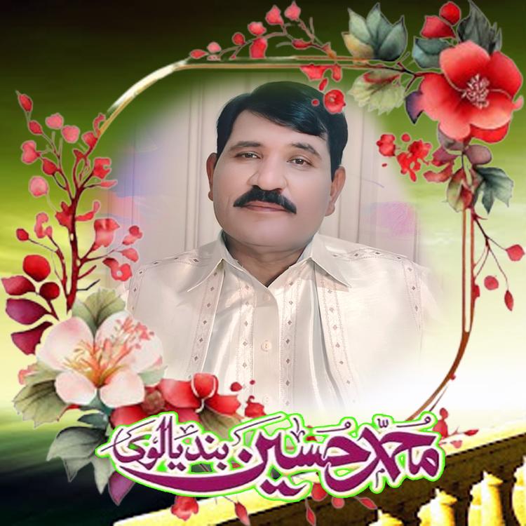 Muhammad Hussain Bandiyal's avatar image