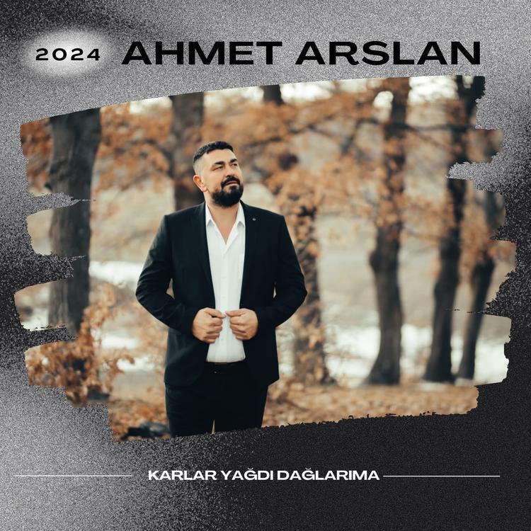 Ahmet Arslan's avatar image