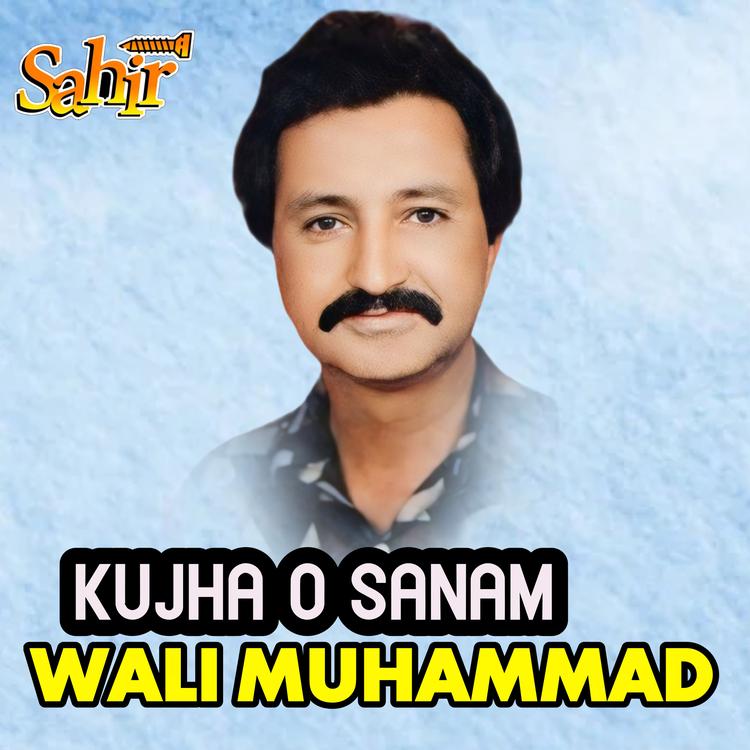 Wali Muhammad's avatar image