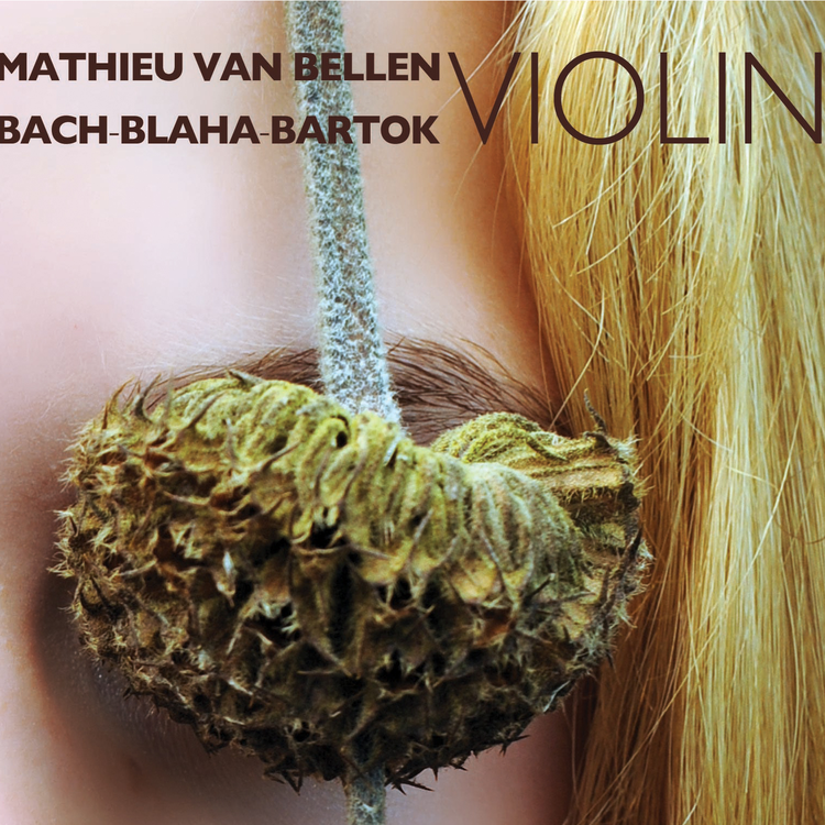 Mathieu Van Bellen's avatar image