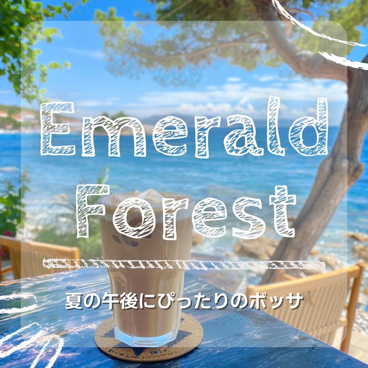 Emerald Forest's avatar image