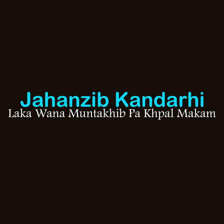 Jahanzib Kandarhi's avatar image