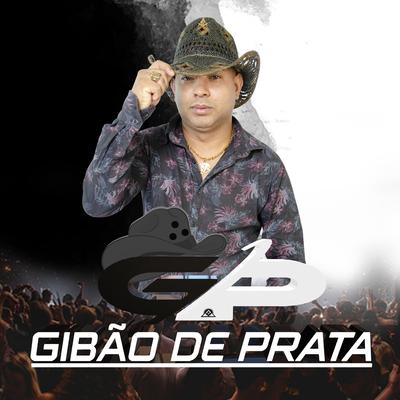 GIBÃO DE PRATA's cover