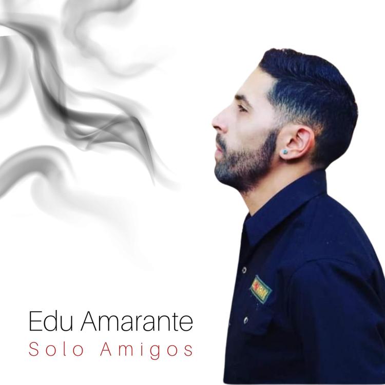 Edu Amarante's avatar image