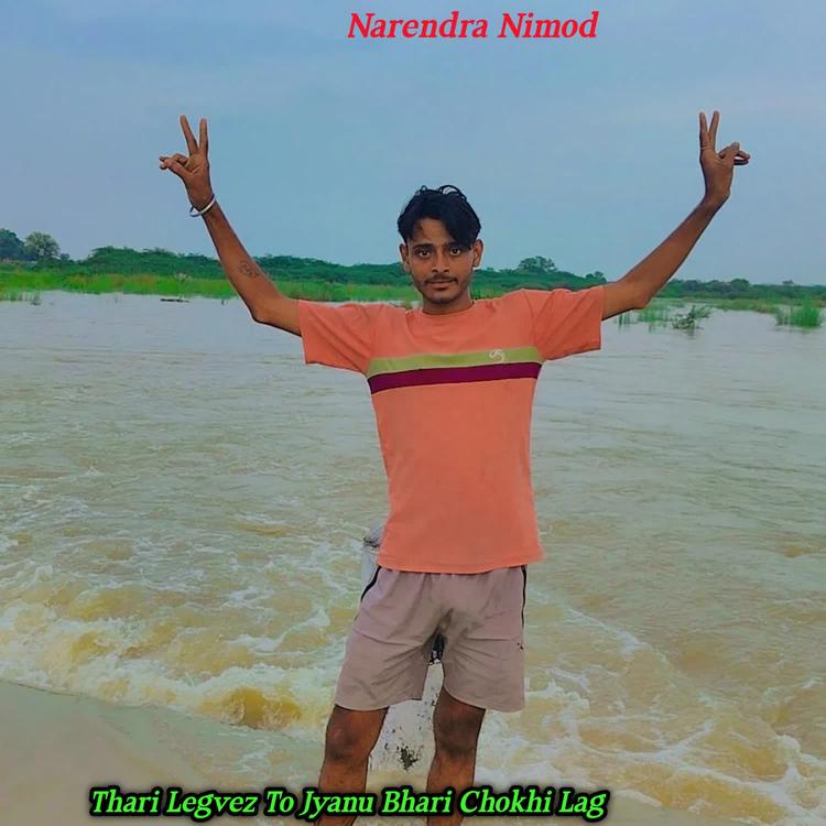 Narendra Nimod's avatar image