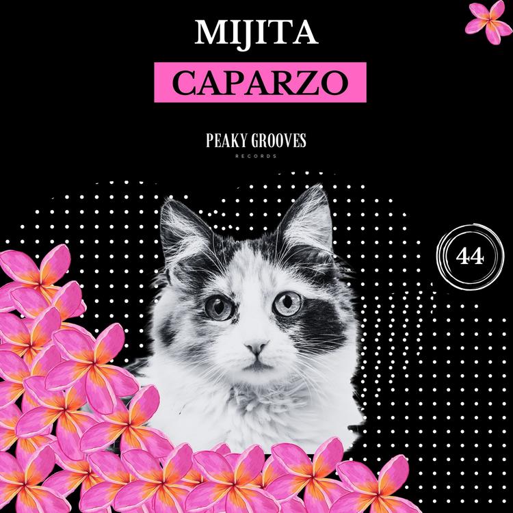 Caparzo's avatar image