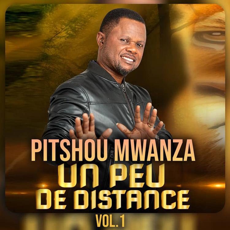 Pitshou Mwanza's avatar image