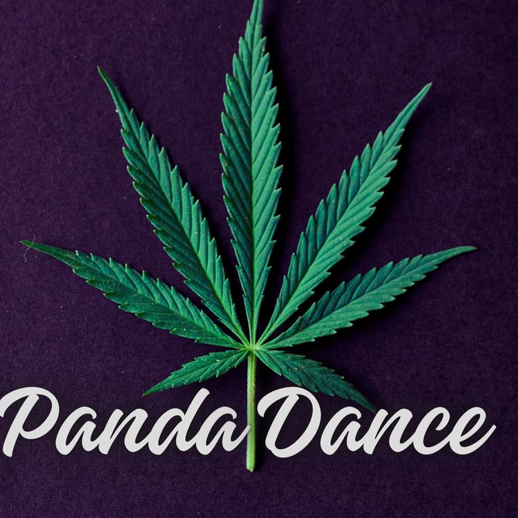 Panda Dance's avatar image