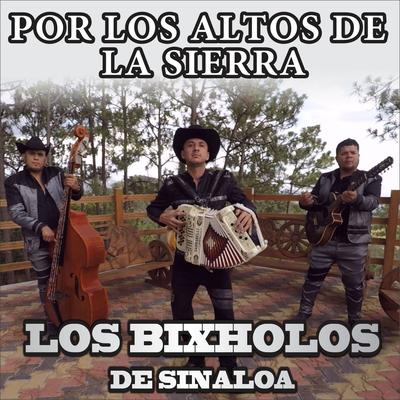 Por Los Altos De La Sierra's cover