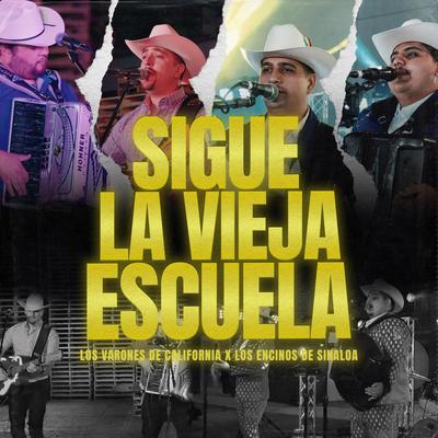 Sigue La Vieja Escuela's cover