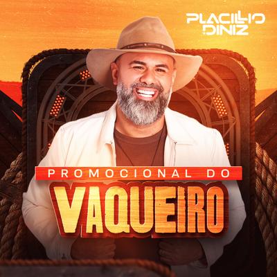 A Noite Mais Linda (Cover) By Placillio Diniz's cover