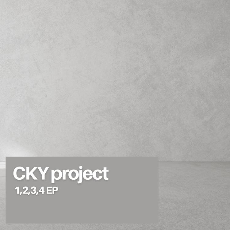 CKY Project's avatar image