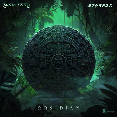 Obsidian By Josh Teed, Starfox's cover