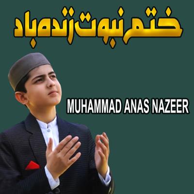 Khatm e Nabuwwat Zindabad's cover