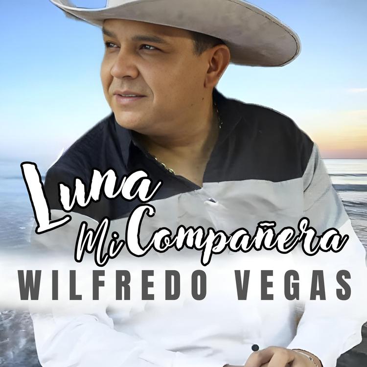 Wilfredo Vegas's avatar image