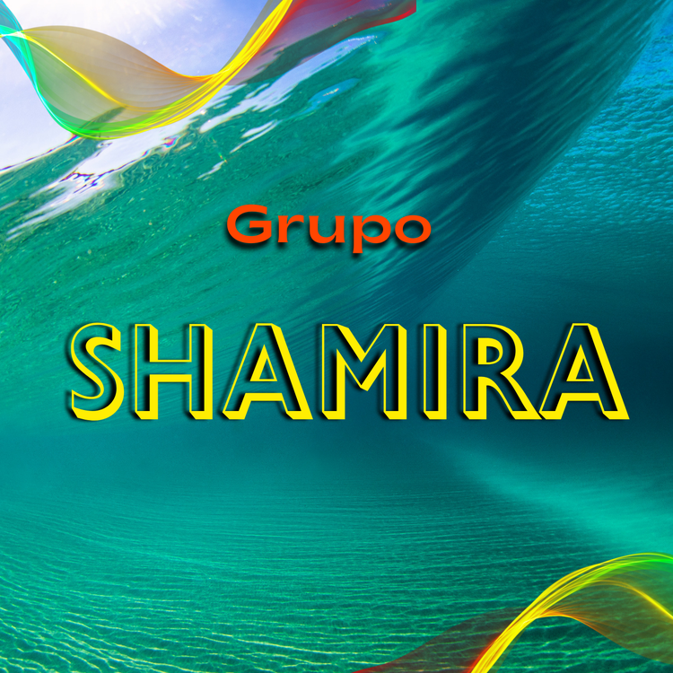 Grupo Shamira's avatar image