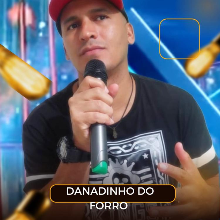 DANADINHO DO FORRO's avatar image