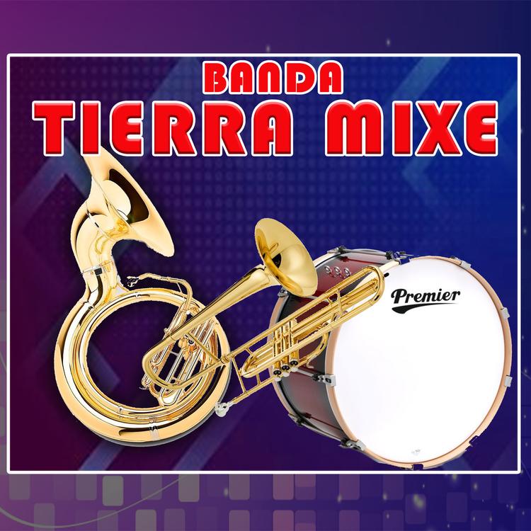 Banda Tierra Mixe's avatar image