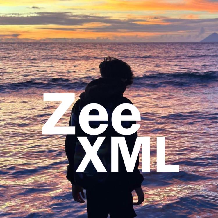 Zee XML's avatar image