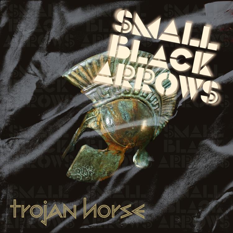 Small Black Arrows's avatar image