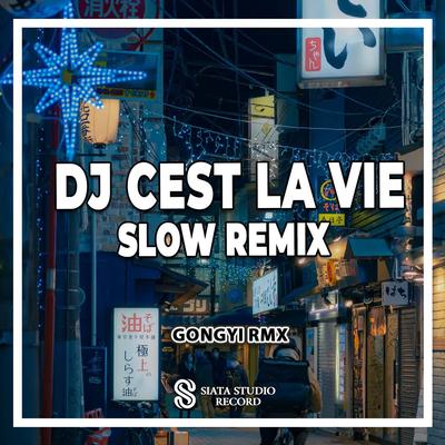 DJ Cest La Vie Slow Remix (Ins)'s cover