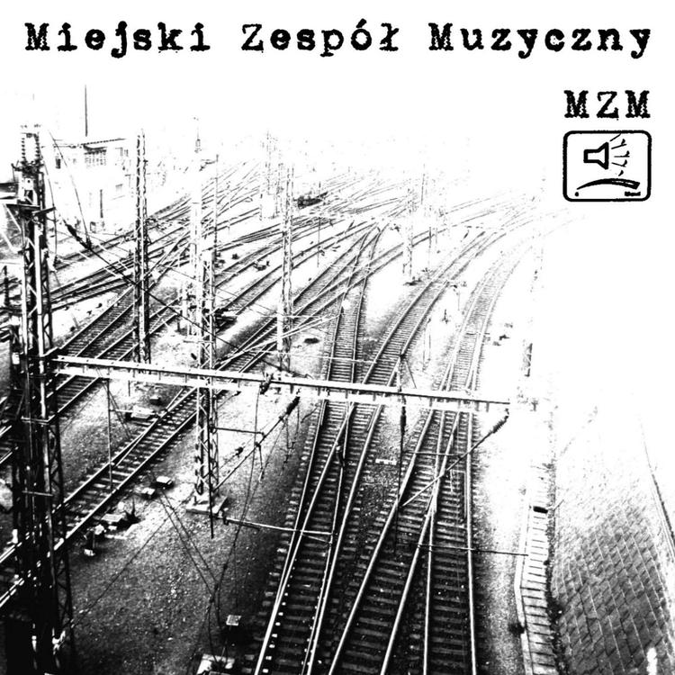 Miejski Zespół Muzyczny's avatar image