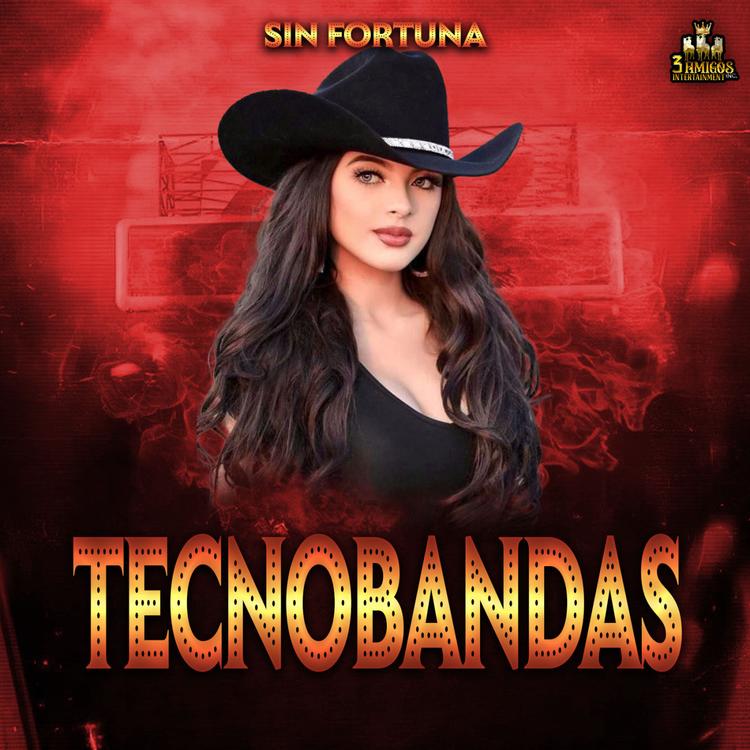Tecno Bandas's avatar image