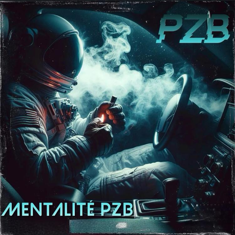 PZB's avatar image