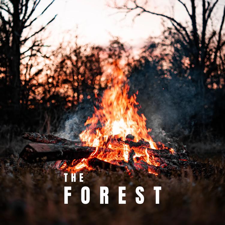 The Forest's avatar image