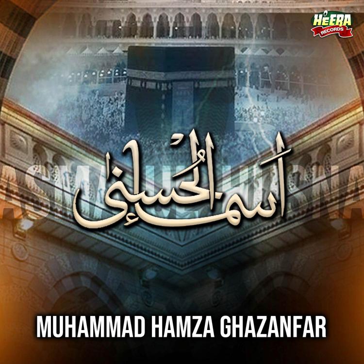 Muhammad Hamza Ghazanfar's avatar image