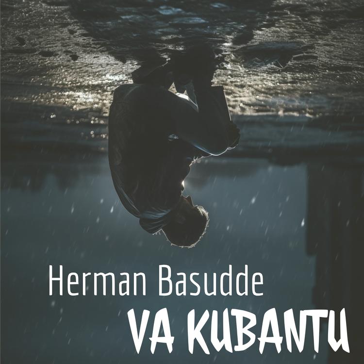 Herman Basudde's avatar image