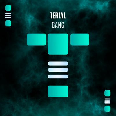 TERIAL's cover