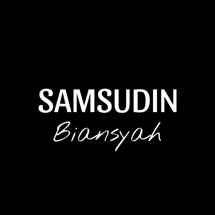 SAMSUDIN BIANSYAH's avatar image