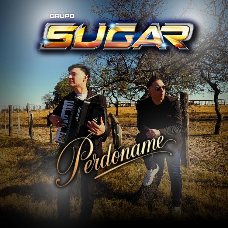 Grupo Sugar's avatar image